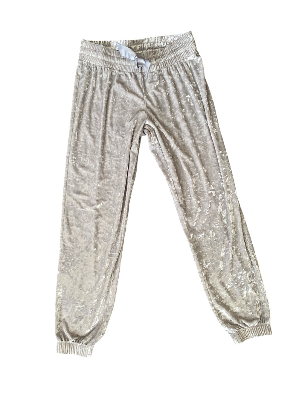 NWOT Victoria’s Secret Velvet Jogger Pants - silver